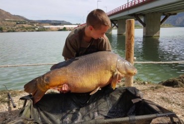 Un niño de 15 años pesca una carpa de 31 kilos en Mequinenza